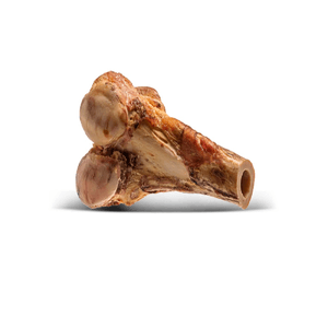 Osso Defumado Meio Femur - Único