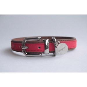 Coleira Zooland Para Cachorros Modelo 1401R - Vermelho