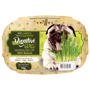 Graminha Digestiva Para Cães