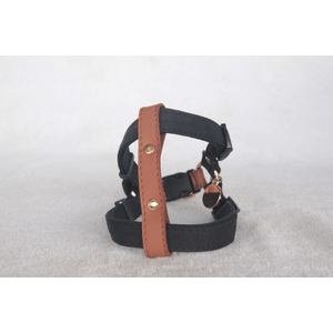 Peitoral Zooland Para Cachorros - Preto