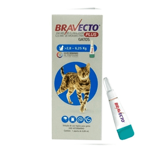 Bravecto Plus Para Gatos - De 2,8 A 6,25 Kg