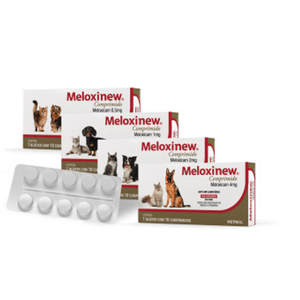 Anti-Inflamatorio Meloxinew - 10 Comprimidos