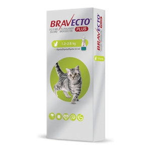 Bravecto Plus Para Gatos De 1,2 A 2,5Kg