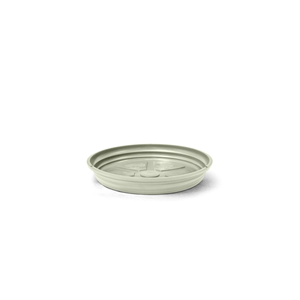 Prato Ceramica - Nº03