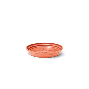 Prato Ceramica - Nº07