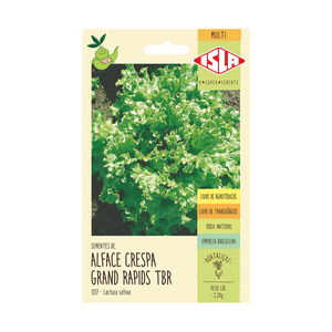 Multsi Alface Grand Rapids Tbr (20)