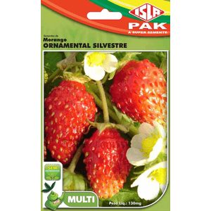 Multi Morango Ornamental (20)