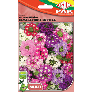 Verbena Camaradinha Sortida (20)