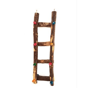 Escada Papagaio Pássaros Toy For Bird