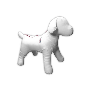 Roupa Pós Cirúrgica Fêmea - Nº10