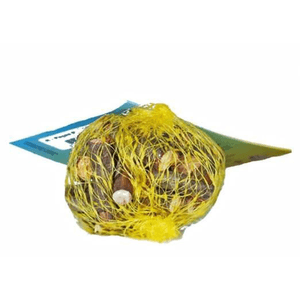 Peças Roedores Toy For Bird