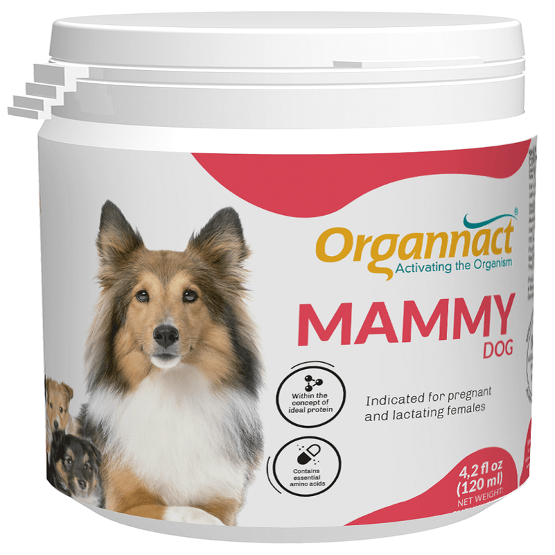 Mammy-Dog_120g