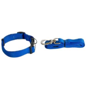 Coleira + guia azul P nylon