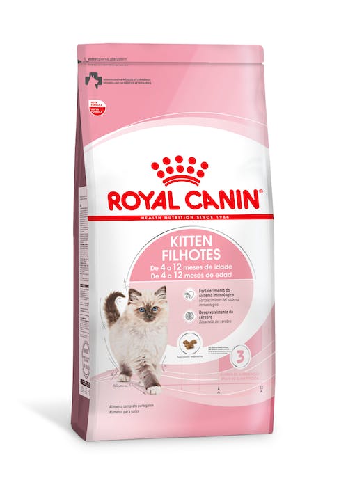 206-br-l-kitten-filhotes-feline-health-nutrition