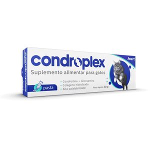 Condroplex Pasta 60g