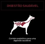7891000246405---foto-4