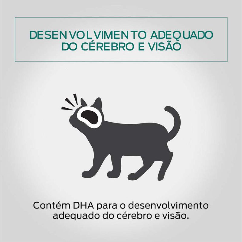 7891000246481---foto-4