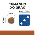 52742862101-foto-2