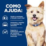 52742862101-foto-4