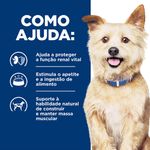 52742801001---foto-2