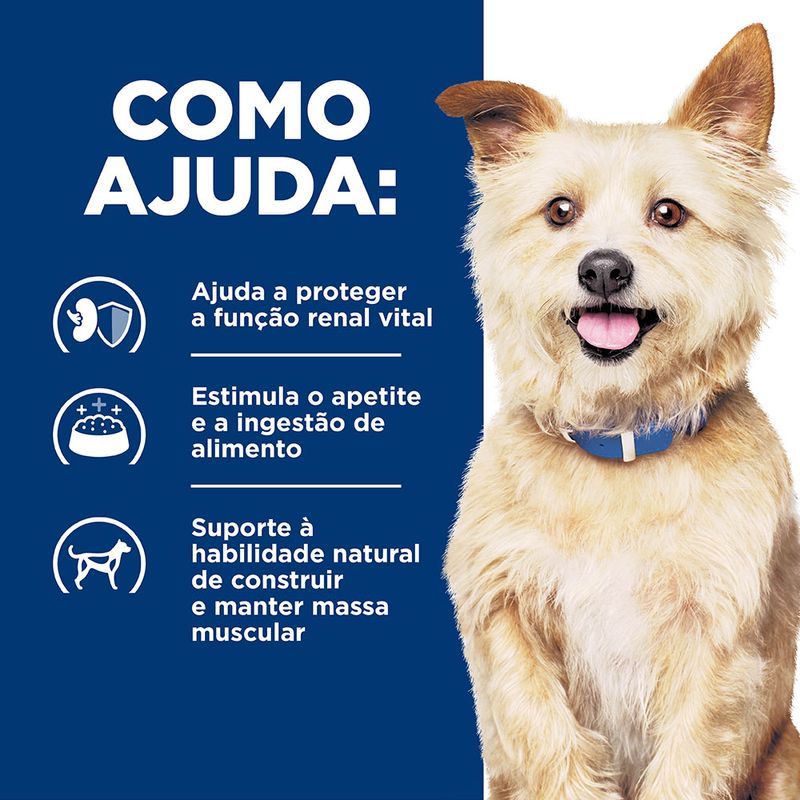 52742801001---foto-2