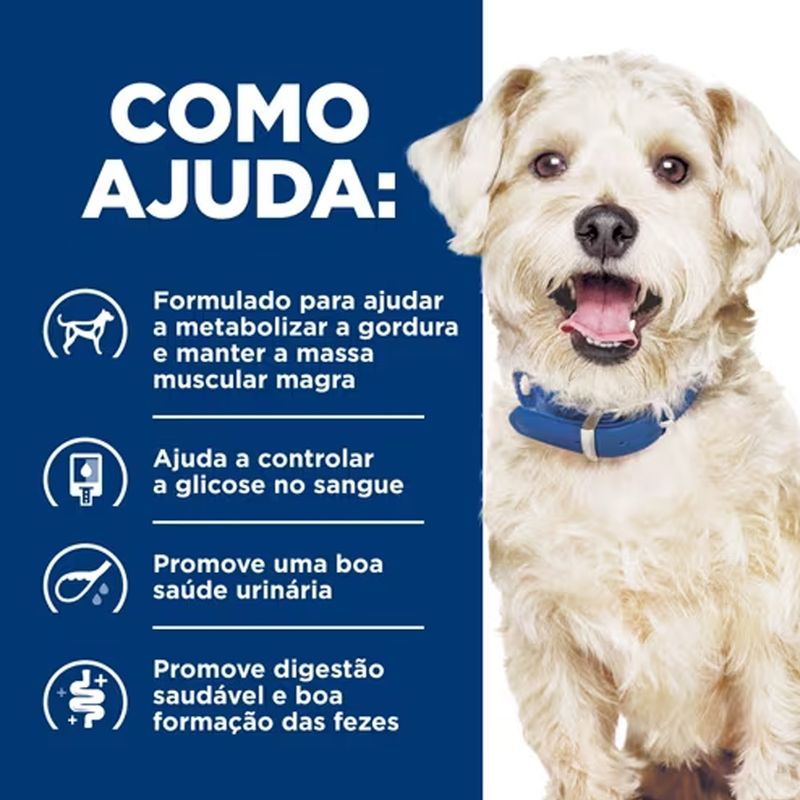 052742701707---foto-4
