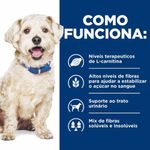 052742701707---foto-5