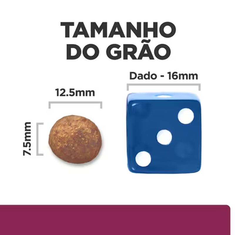 52742026817---foto-3