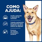 52742026817---foto-6