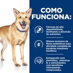 52742026817---foto-7