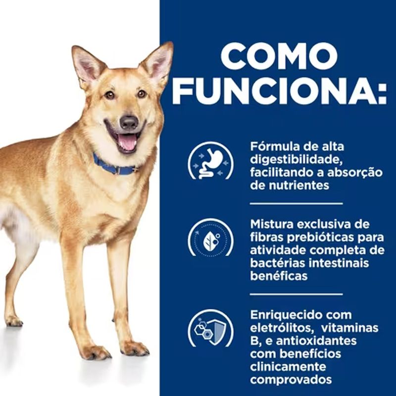 52742026817---foto-7