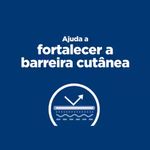 52742027111-foto-4