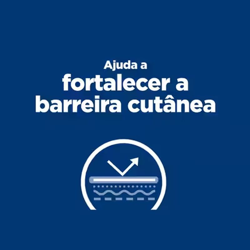 52742027111-foto-4