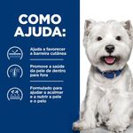 52742027111-foto-5