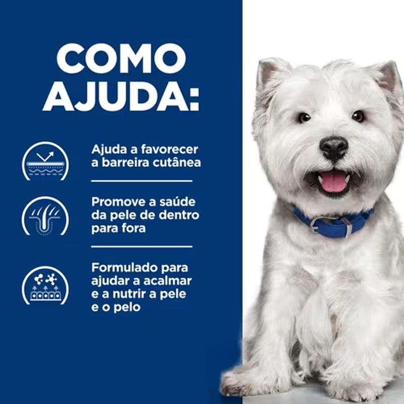 52742027111-foto-5