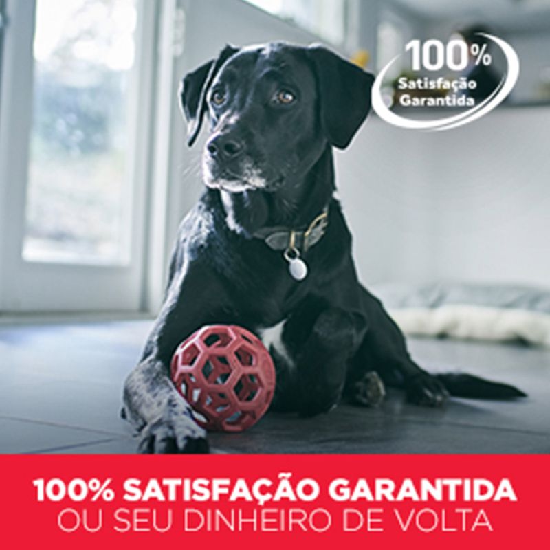 52742036359---foto-7
