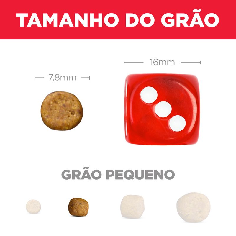 52742036298---foto-4