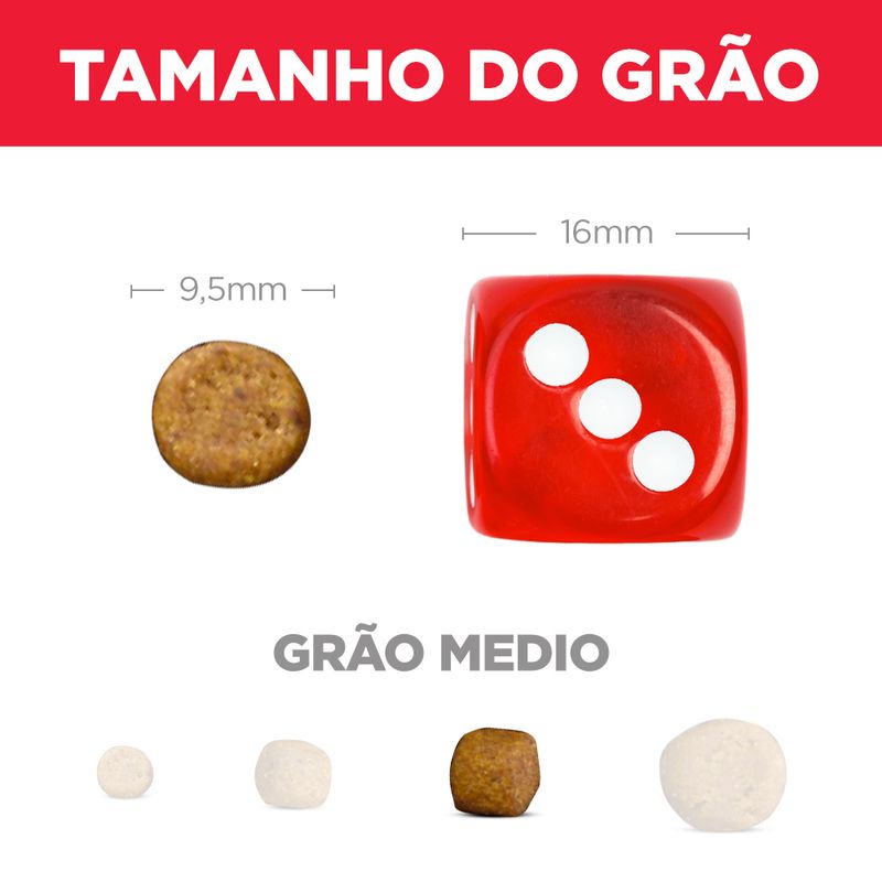 52742036441---foto-4