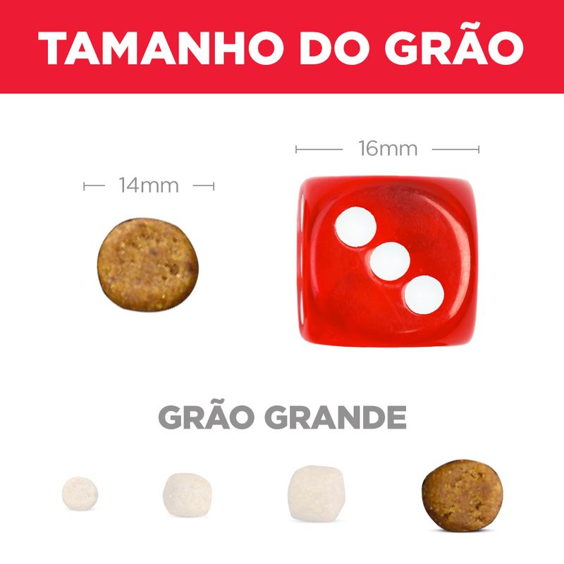 52742036489_6