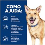 52742339009---foto-4
