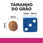 52742024554---foto-3