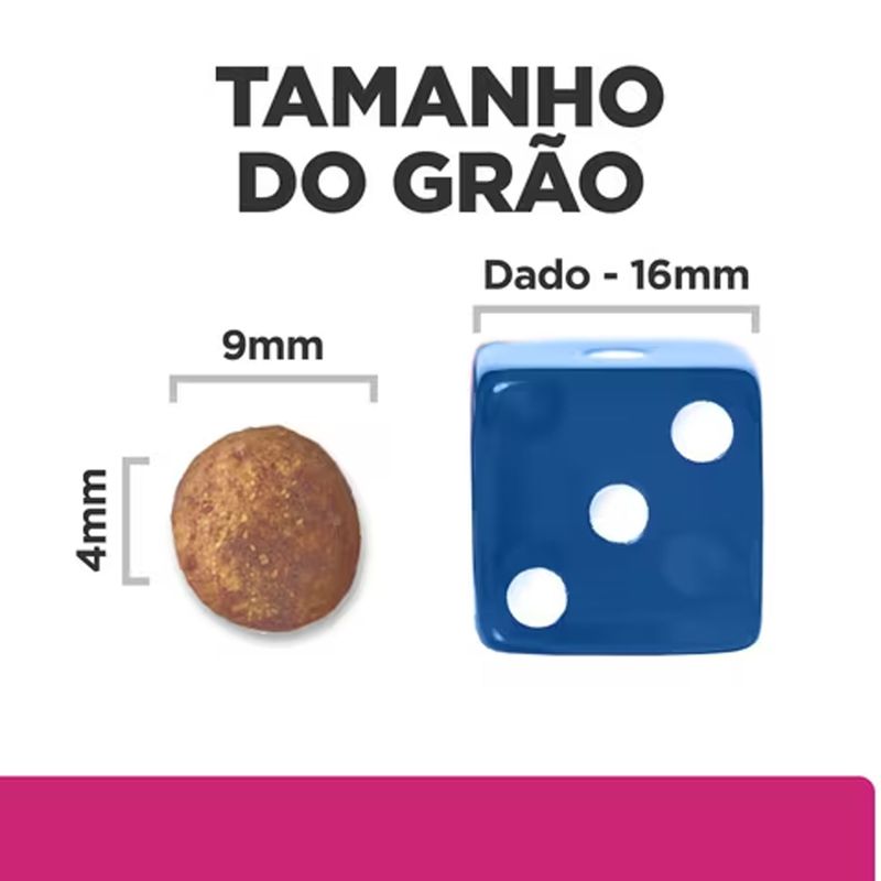 52742024554---foto-3