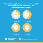 FNLIFE_TRANSICAO_CAES-1-1
