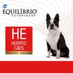 7896588953622---equilibrio---hepatico---foto-2
