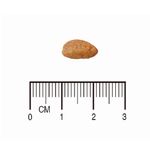 7896588953622---equilibrio---hepatico---foto-4