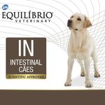 7896588953608---equilibrio---trato-intestinal---foto-2