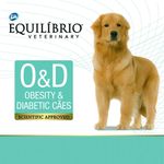 7896588953554---equilibrio-veterinary---obesidade-e-diabetes---foto-2