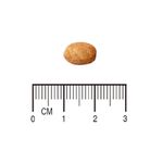 7896588953554---equilibrio-veterinary---obesidade-e-diabetes---foto-5