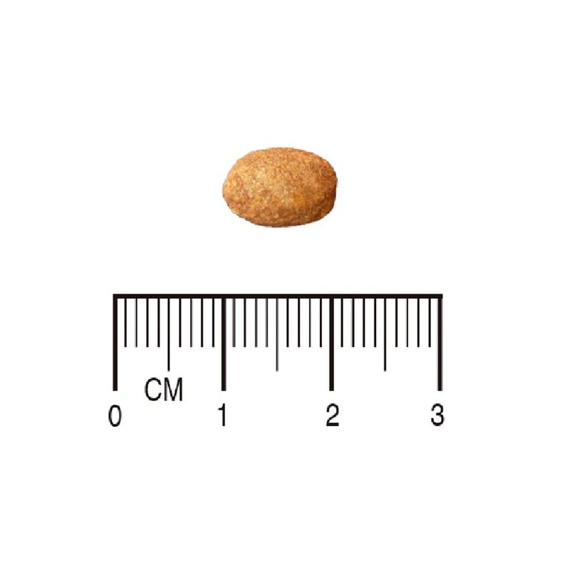 7896588953554---equilibrio-veterinary---obesidade-e-diabetes---foto-5