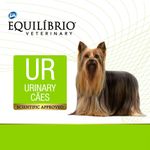 7896588953585---equilibrio-veterinary---renal-caes---foto-2